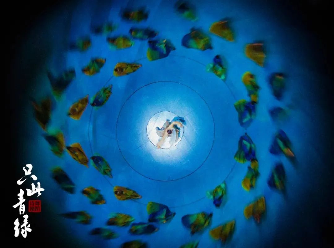 舞蹈诗剧《只此青绿》——舞绘《千里江山图》2024