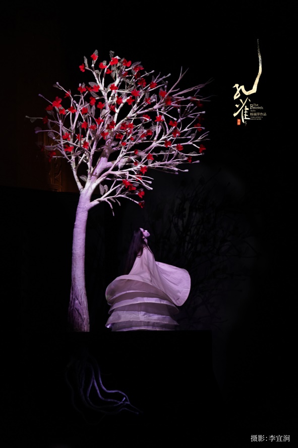 杨丽萍作品2022版舞剧《孔雀》